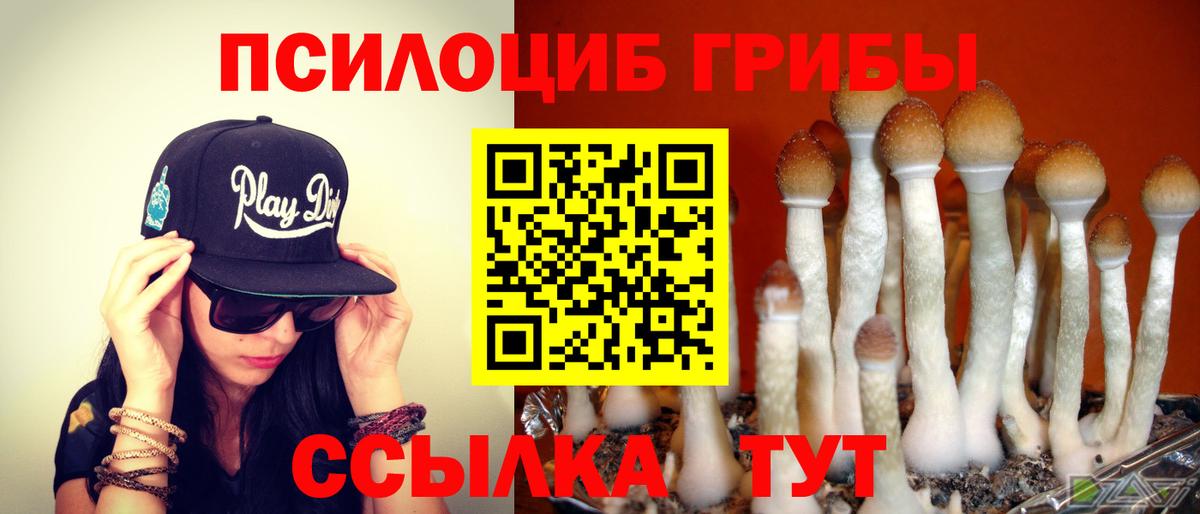 Псилоцибиновые грибы MAGIC MUSHROOMS Полевской