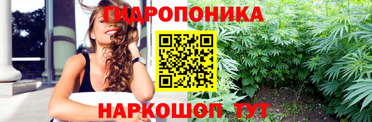 Бошки марихуана THC 21% Полевской
